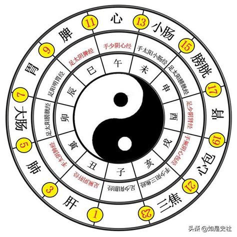 兩儀八卦圖|易經入門：太極、兩儀、四象、八卦是什麼意思？